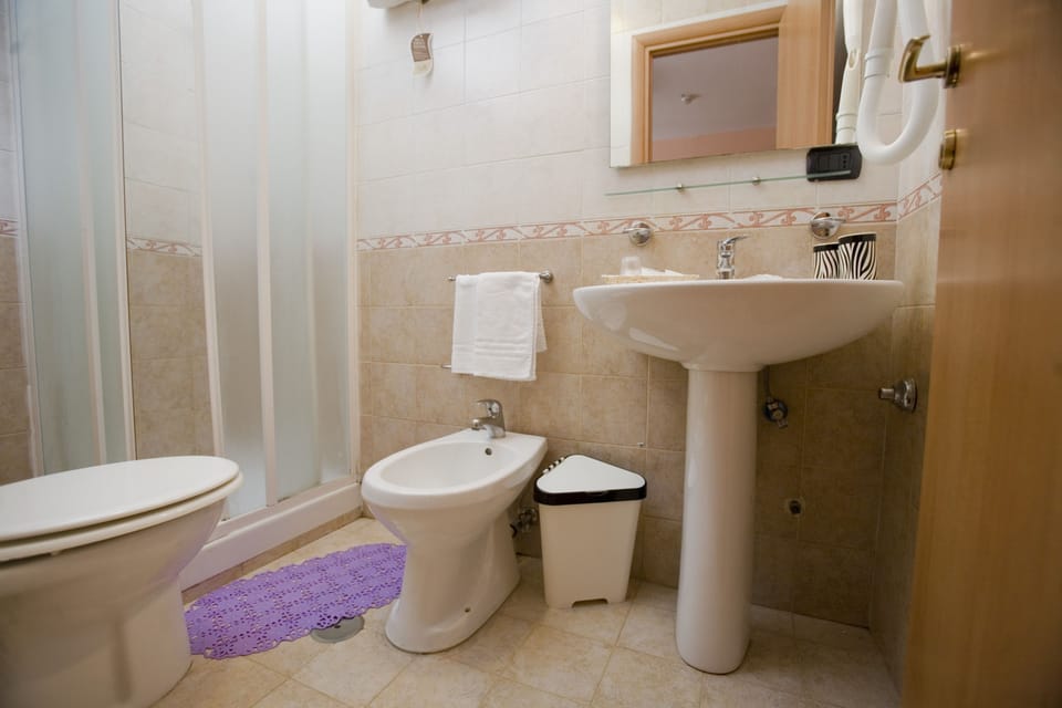 Shower, free toiletries, hair dryer, bidet