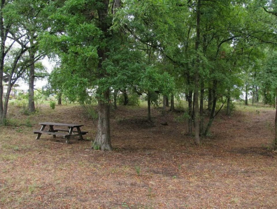 Picnic table, fire pit and trash barrel at the site