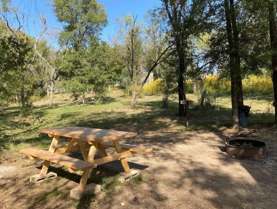 Picnic table, fire pit, and trash barrel at the site