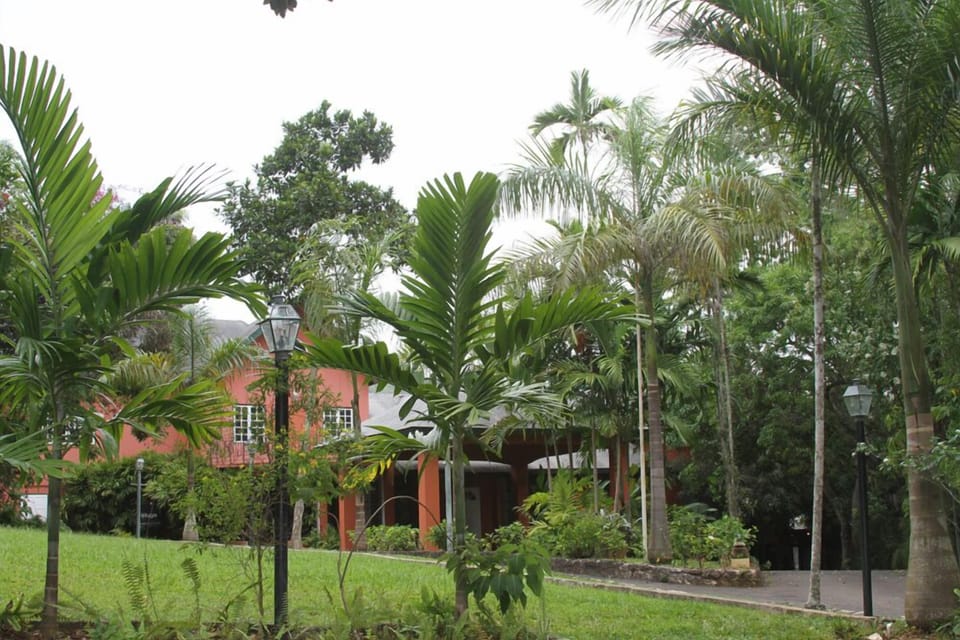 Pulse Suites at Villa Ronai Hotel in Kingston