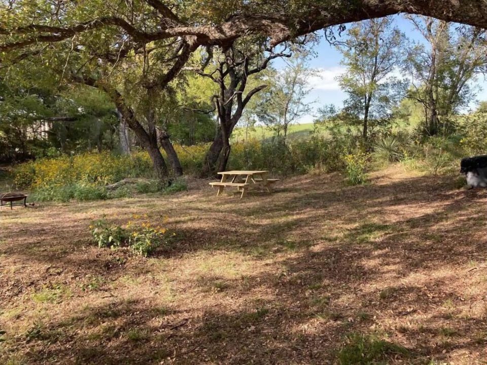 Campsite has picnic table, firepit and trash barrel