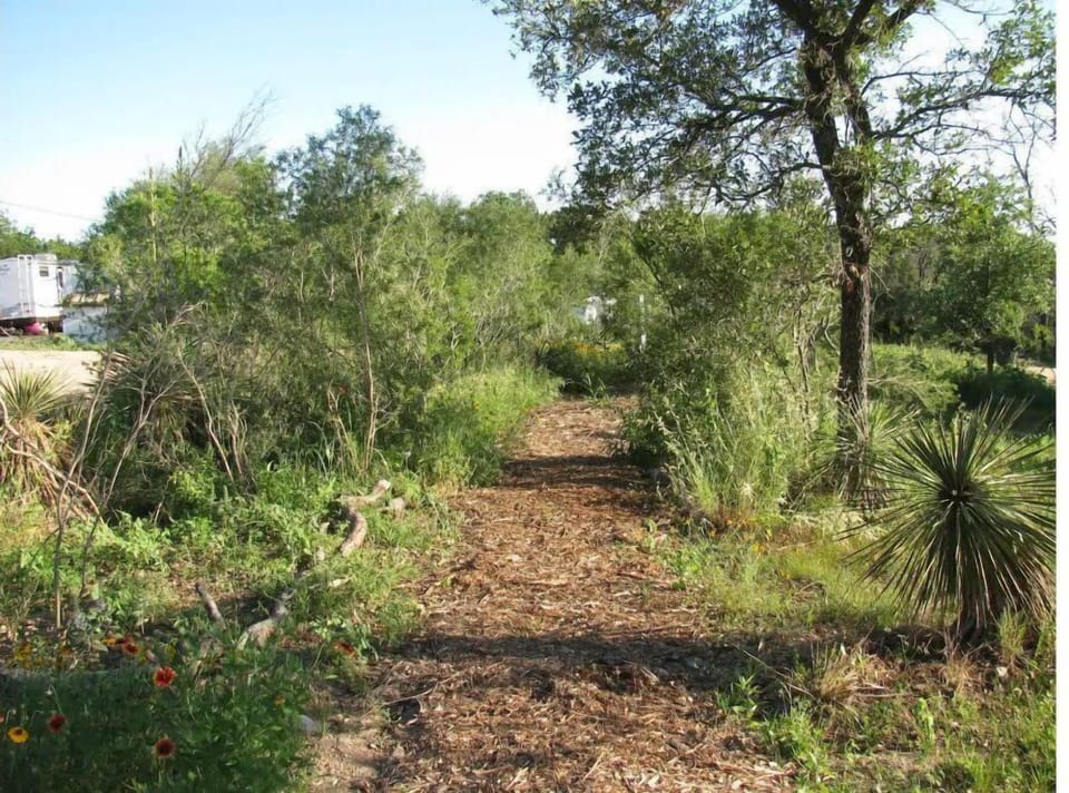 Nature around for exploration