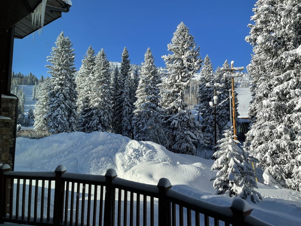 View from living room #2