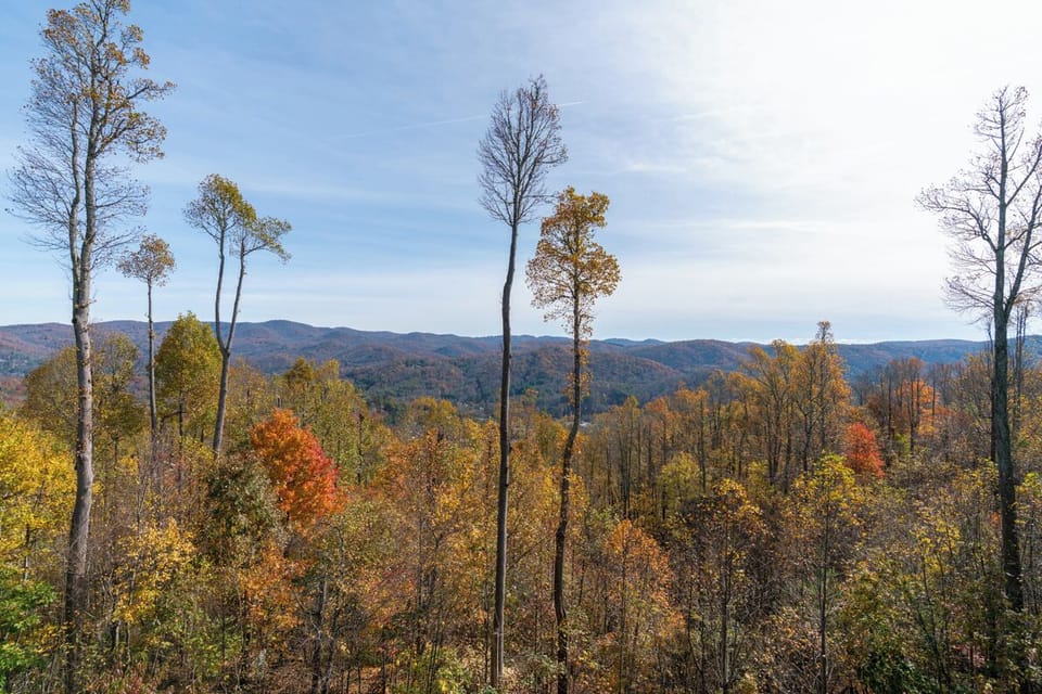 Deck Area--- Fall Foliage Mountain View