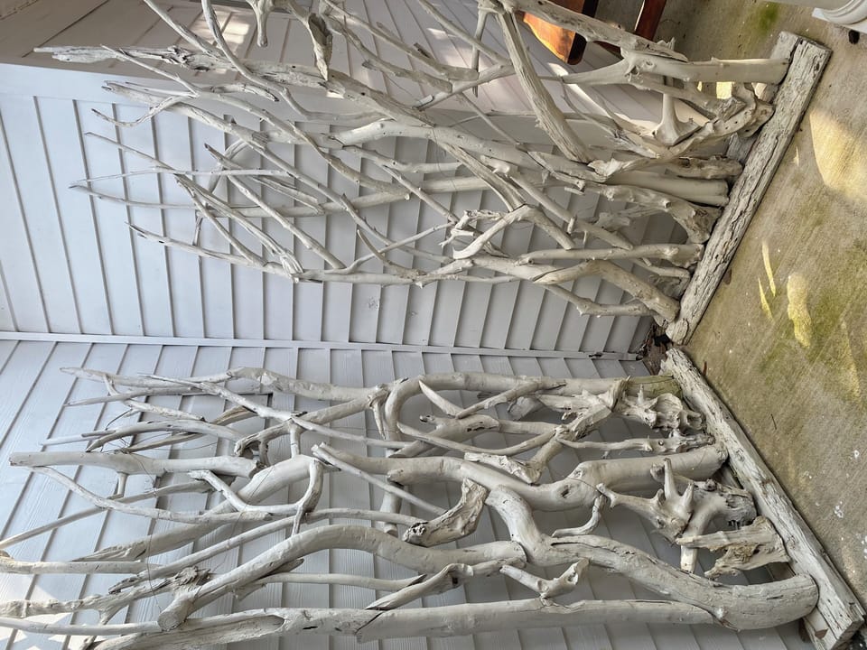 Mangrove Entry Corner