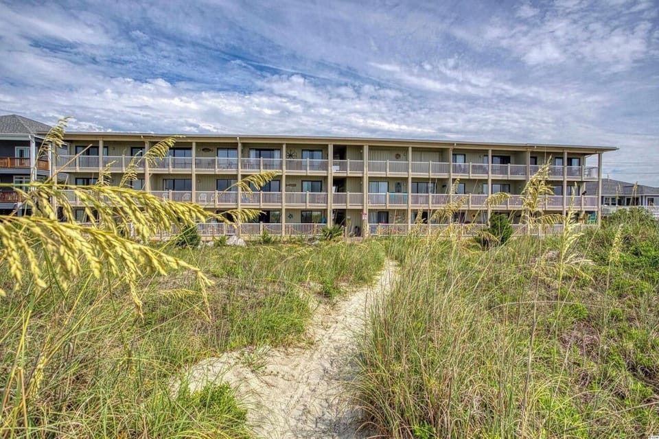 View from the Beach