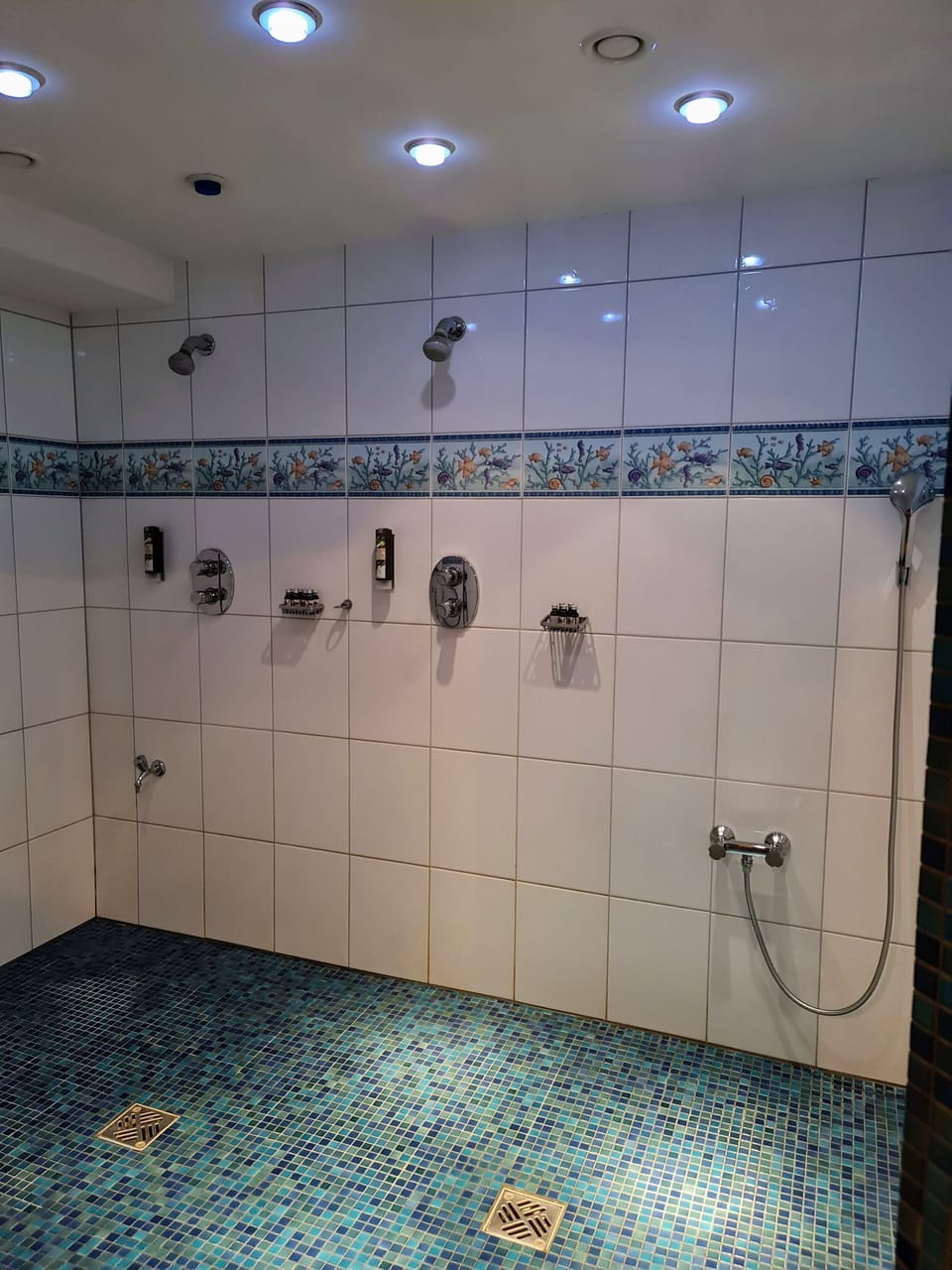 Sauna, steam room