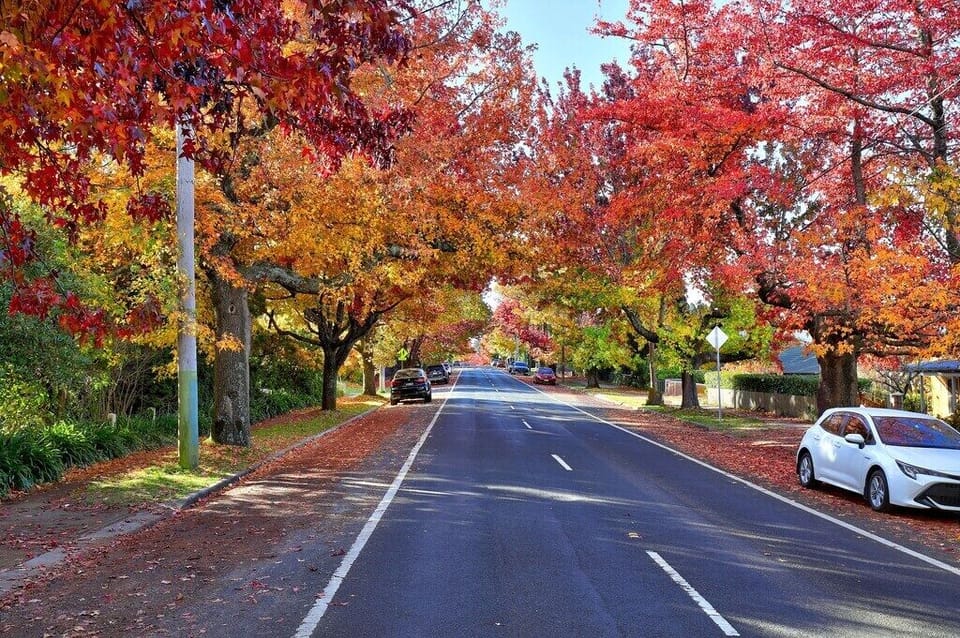 BH autumn