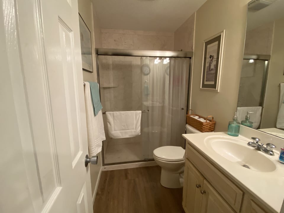 Bottom floor hall bathroom with walk-in shower