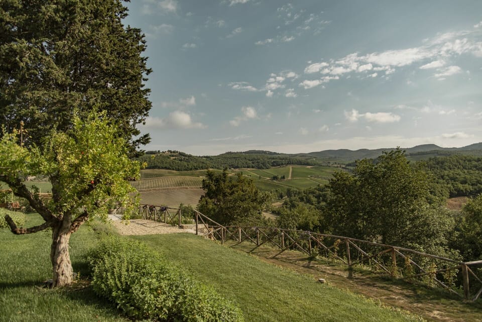 Tree, Land Lot, Rural Area, Grassland, Cumulus, Shrub, Valley, Meadow, Field, Pasture