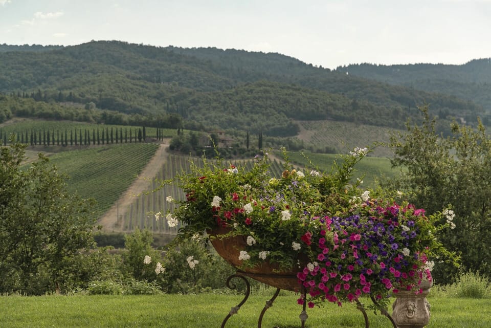 Plant, Shrub, Mountainous Landforms, Plant Community, Hill, Highland, Agriculture, Land Lot, Field, Garden