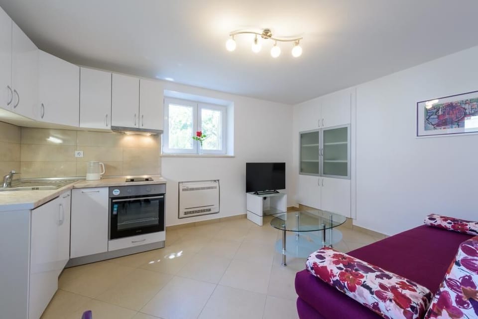 Apartment (One Bedroom Apartment with Terrace) | Private kitchen | Fridge, electric kettle, cookware/dishes/utensils