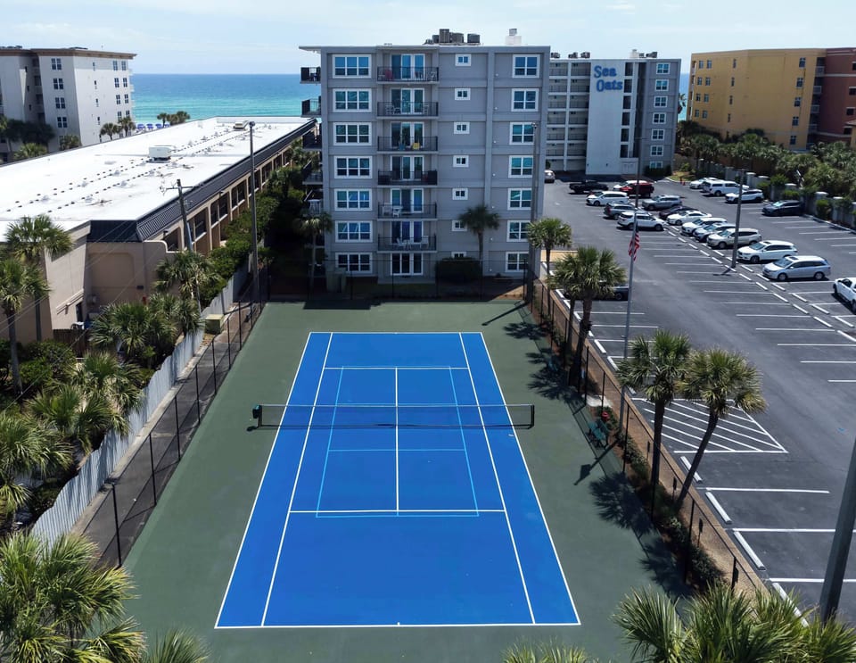 Aerial view Sea Oats