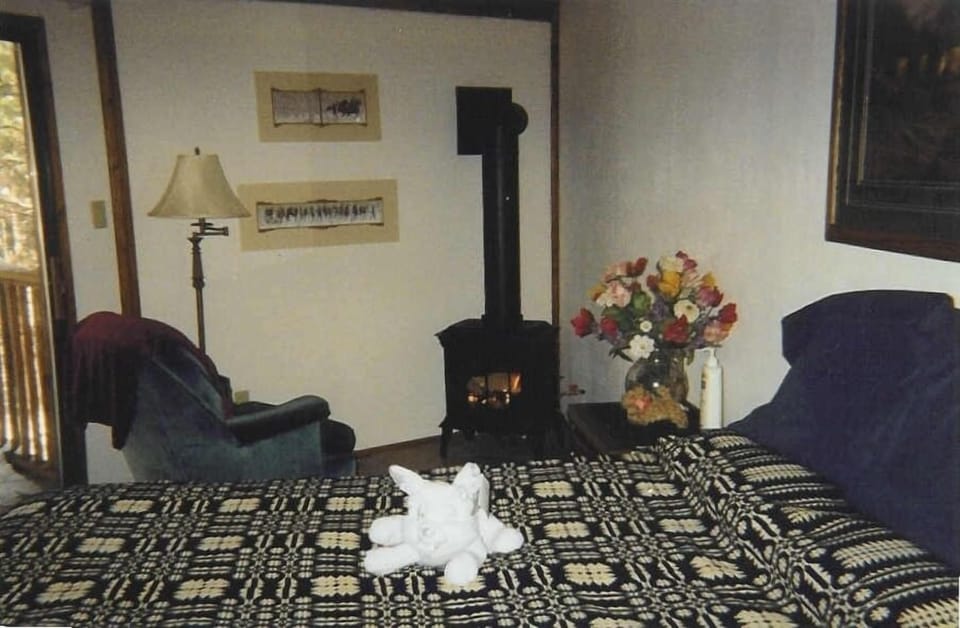 MASTER BEDROOM-QUEEN BED
