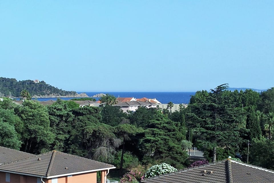Beach/ocean view