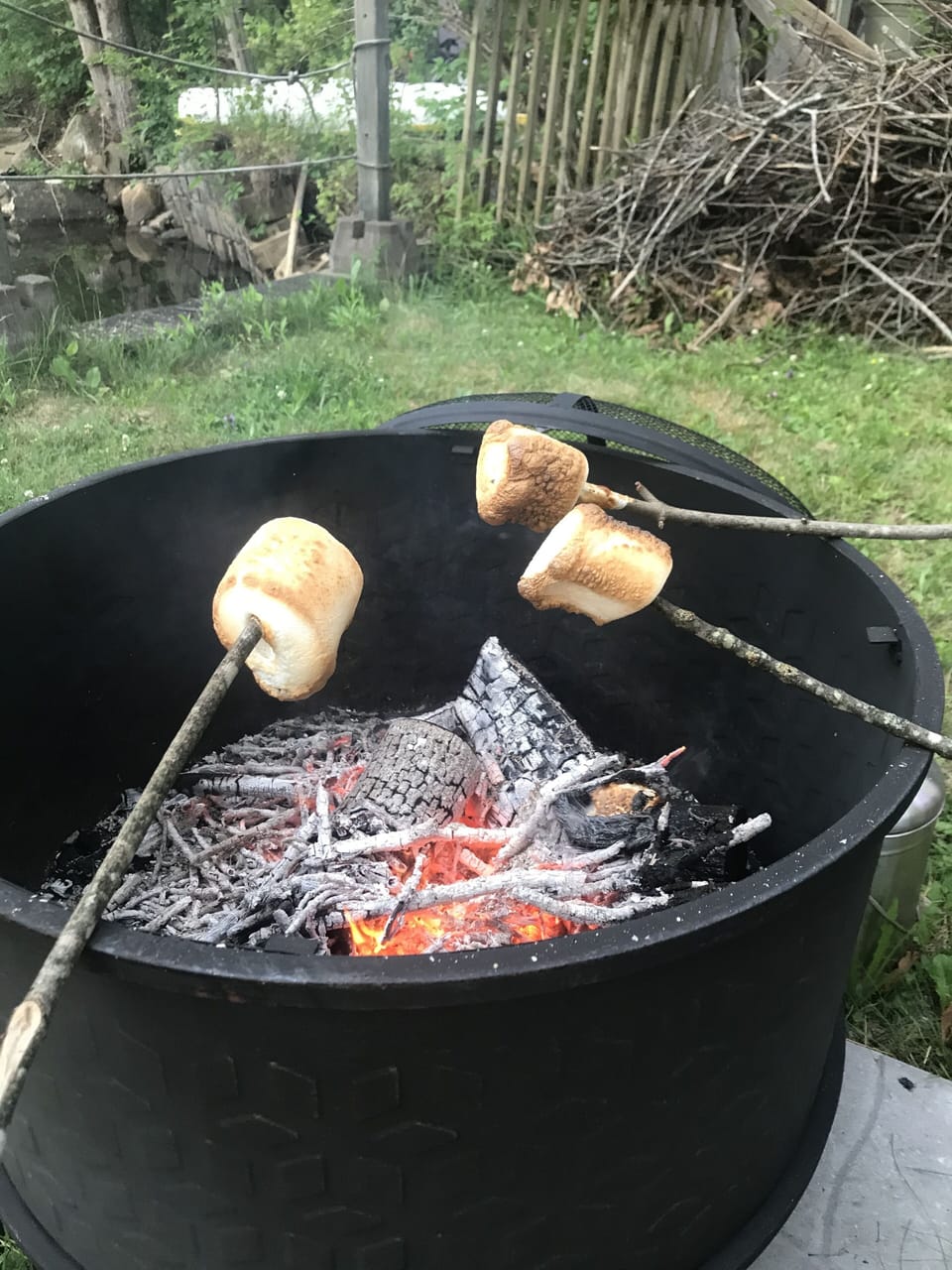 Roast marshmallows or grill hotdogs at the waters edge in the fire pit