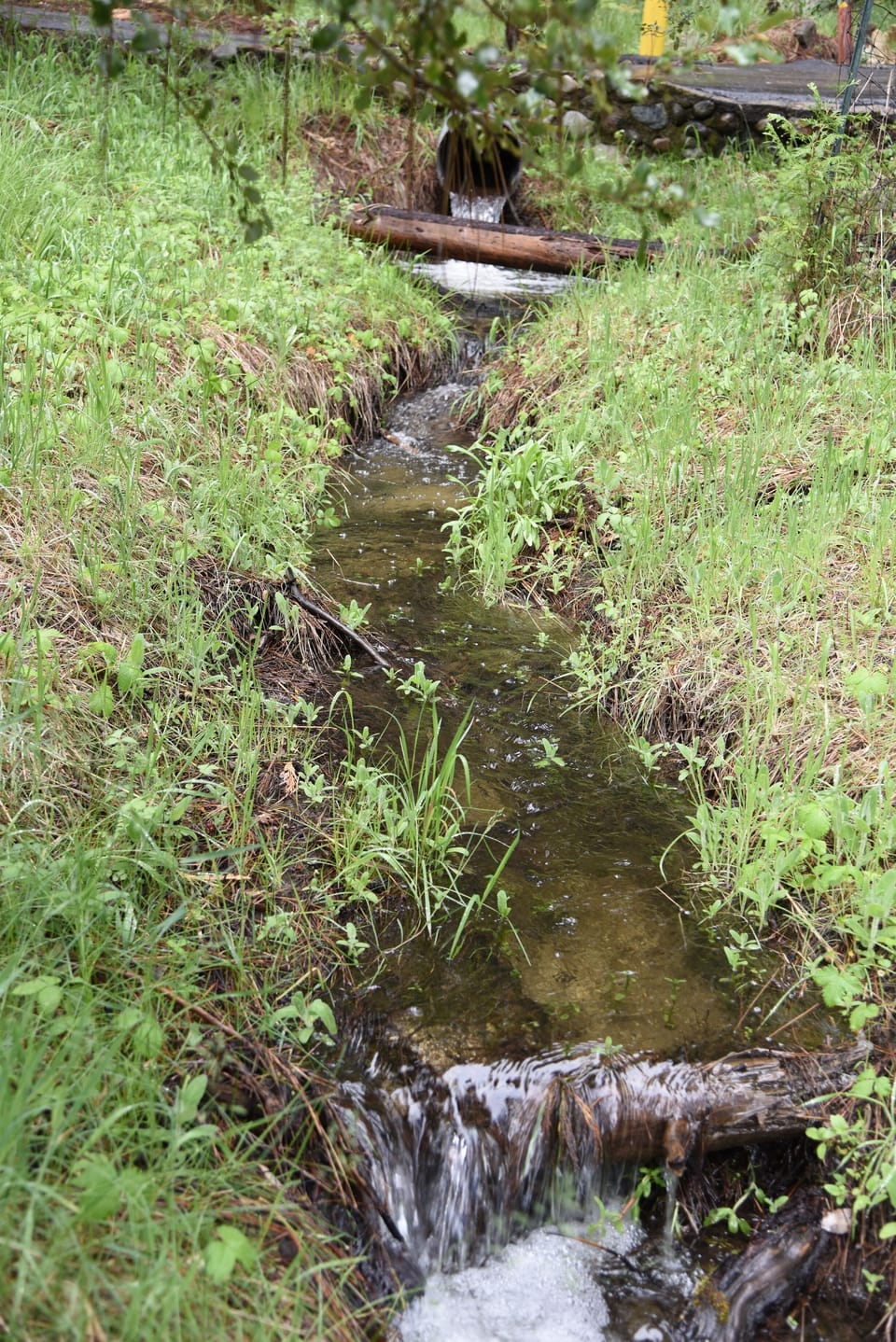 Seasonal creek