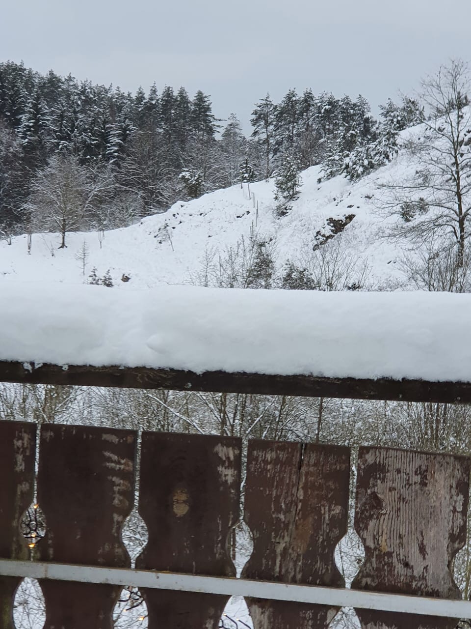 View from property