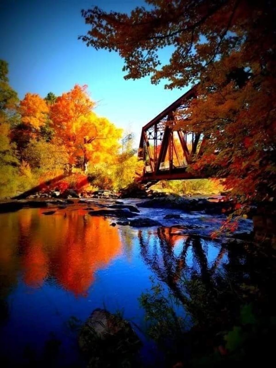 Fall Foilage