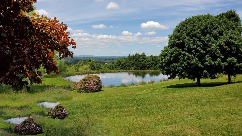 Spring Pond