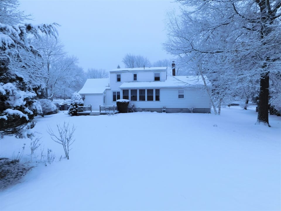 Back of house with yard