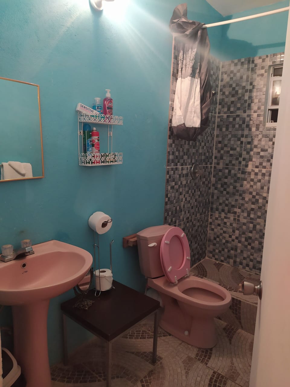 Bathroom sink & toilet