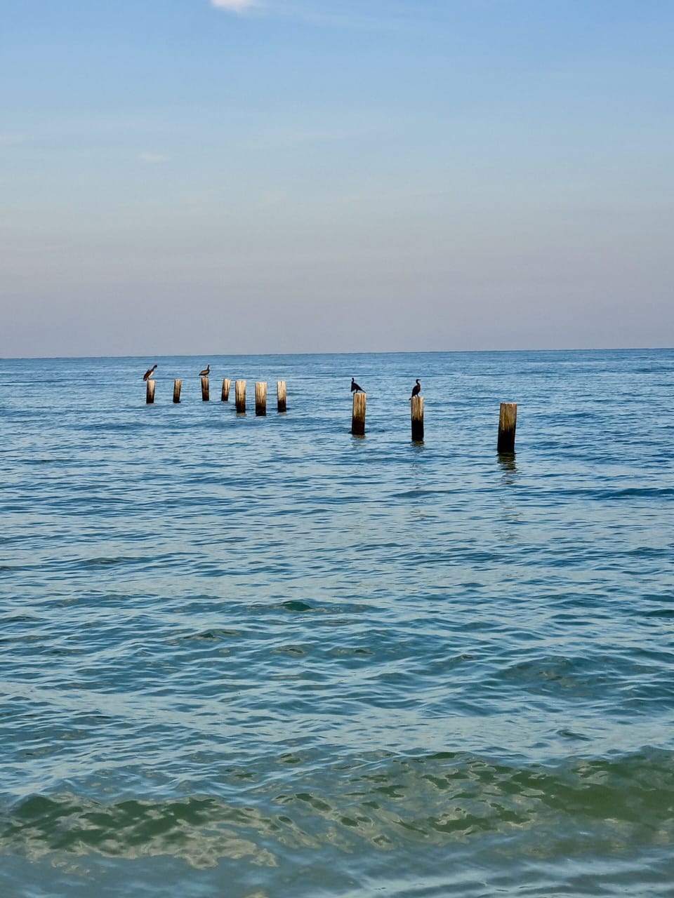 Naples Beach (4)