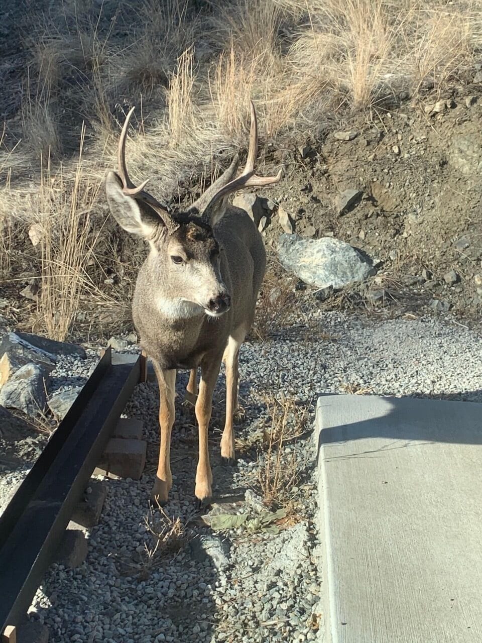 Out my bedroom window

