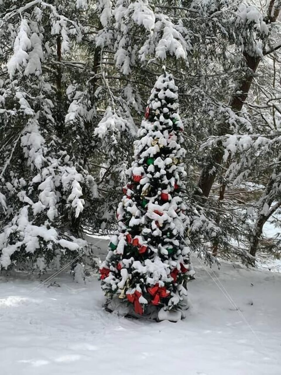 The snow in winter makes for a peaceful holiday setting.