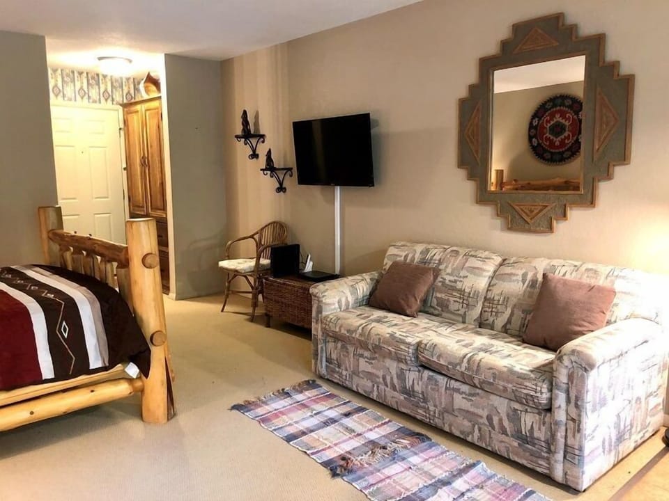 Twin sized sleeper sofa