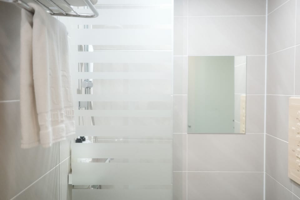 Hair dryer, bathrobes, bidet, towels