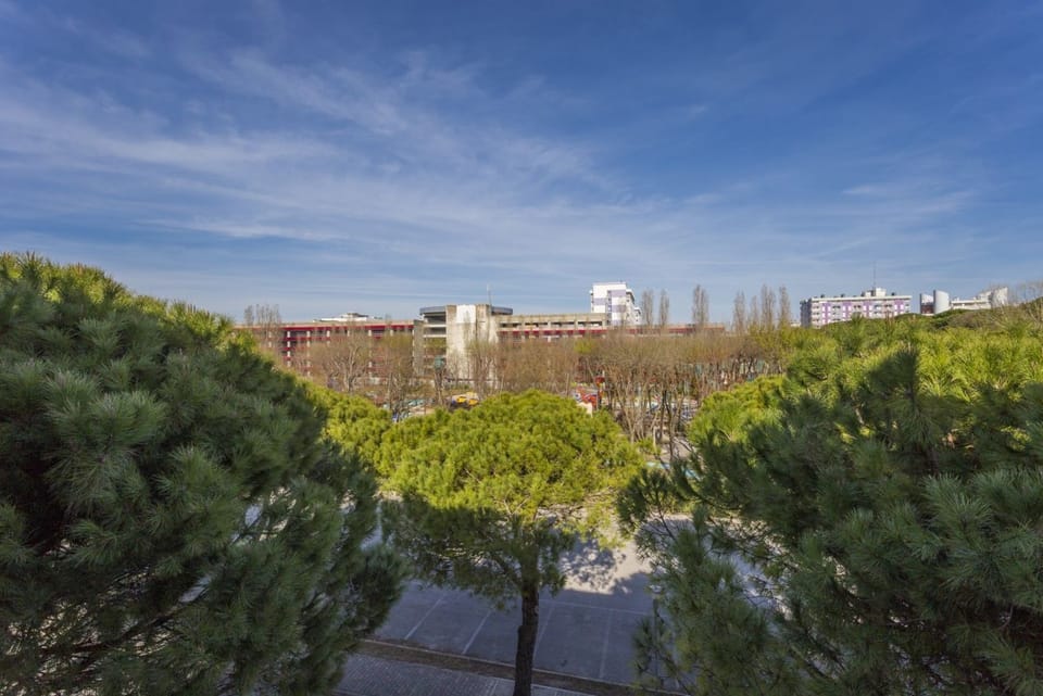 City view from property
