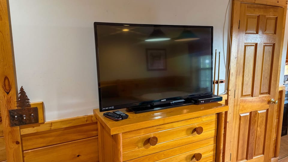 Television