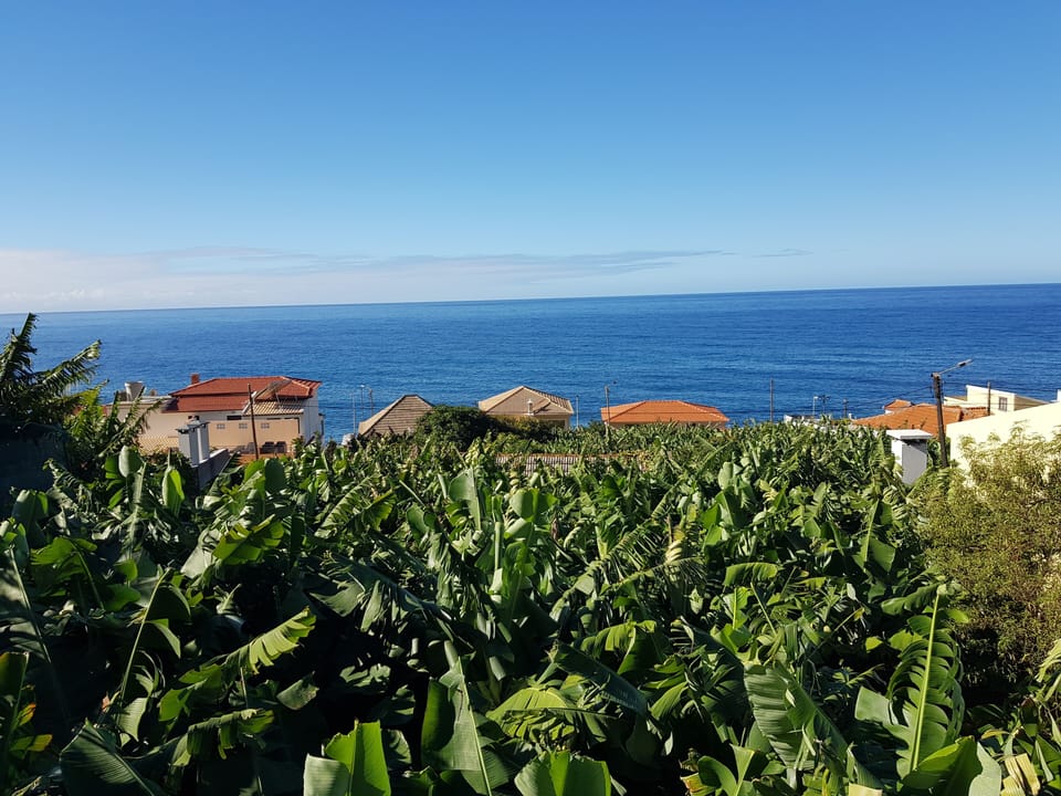 View from the balcony over the banana fields and towards the ocean