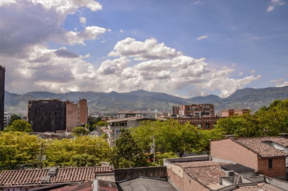 View from the Penthouse roof