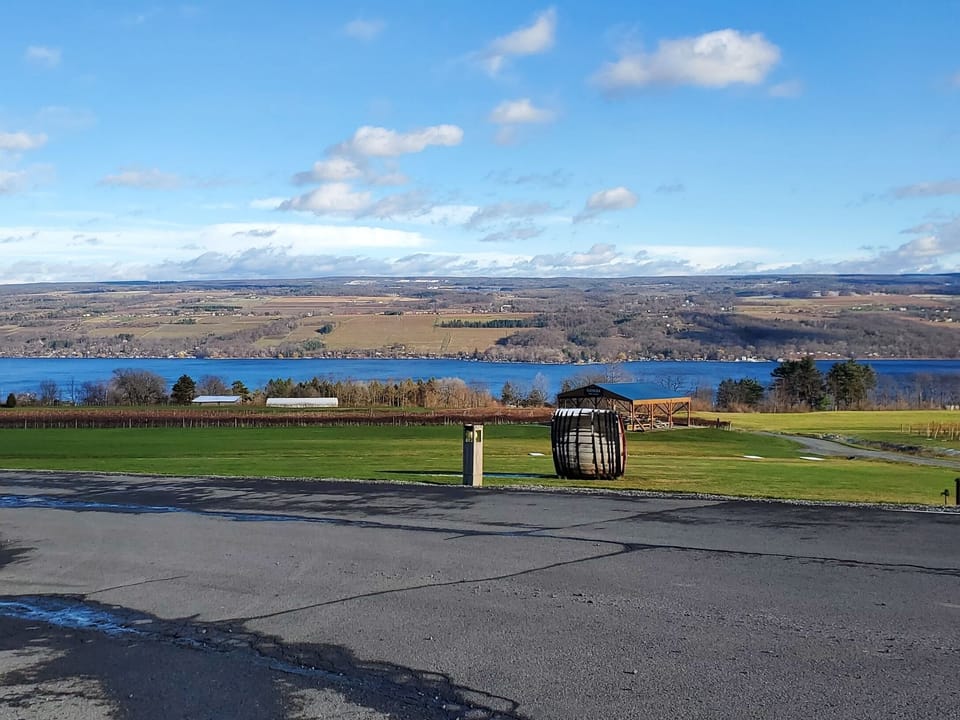 Glenora winery! Beautiful views of the lake and up the road from your stay!