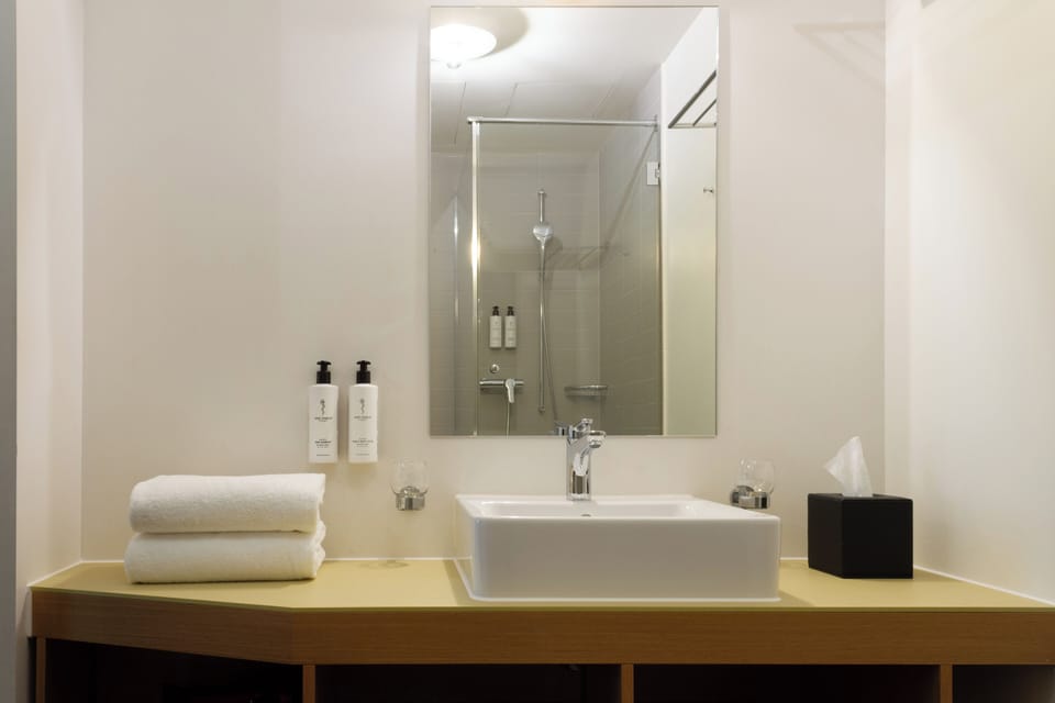 Shower, free toiletries, hair dryer, towels