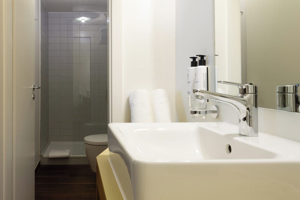 Shower, free toiletries, hair dryer, towels