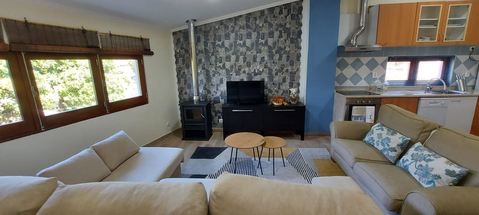 Apartment's living room