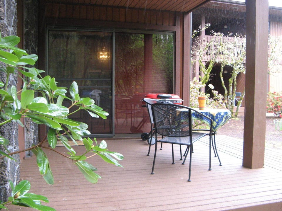 Shadow Hawk #15 - Back deck with table and new BBQ
