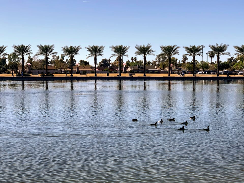 Walk to the scenic Mesa Riverview Park right next to cubs stadium