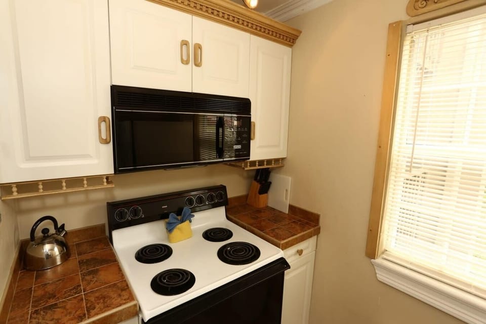 Kitchen equipped with electric stove & microwave