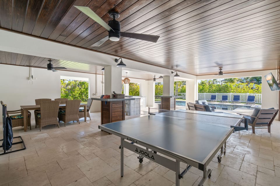 Ping Pong Table