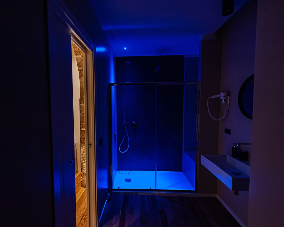 Deluxe Room | Bathroom | Shower, rainfall showerhead, hair dryer, bidet