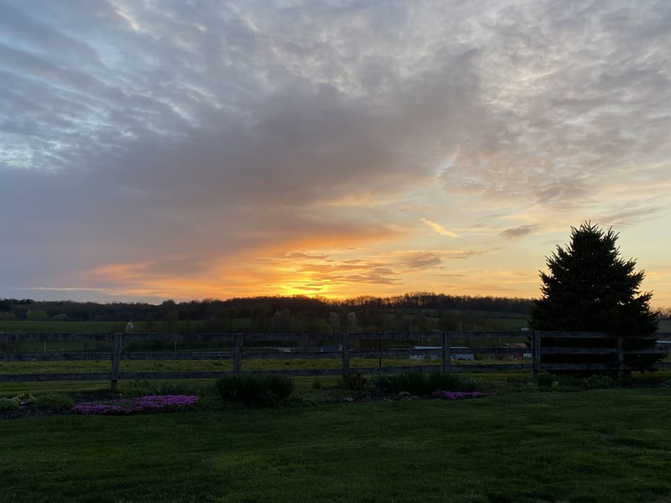 A spring Evening