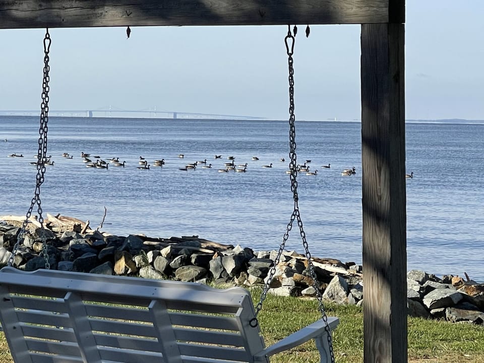 Outdoor swing with waterfront views