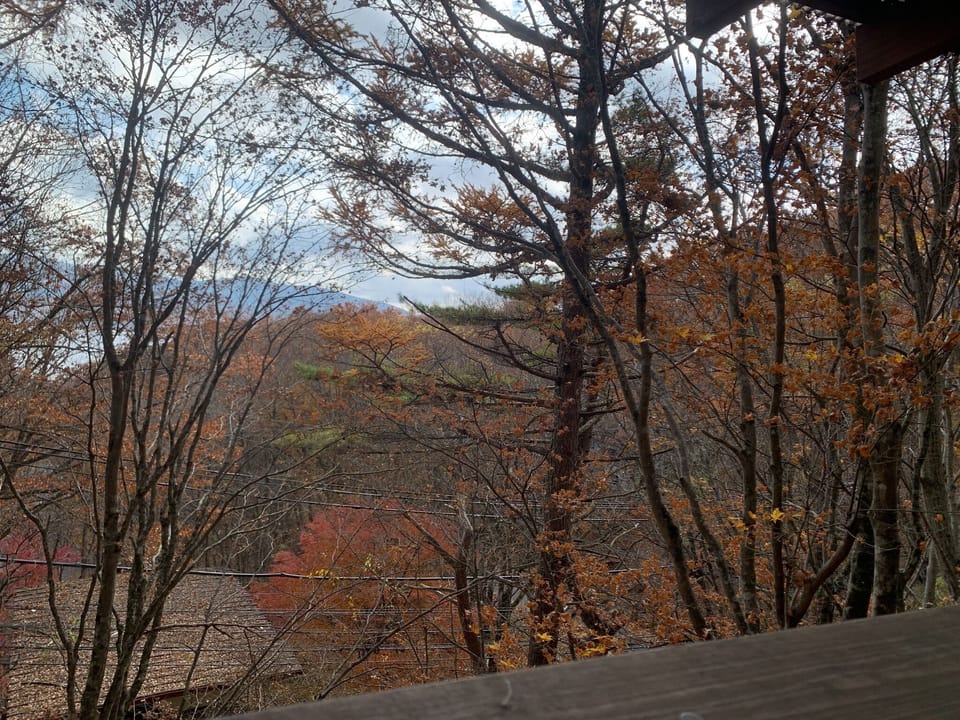 View from property