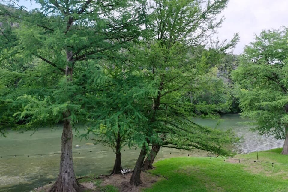 Serene River Views.
