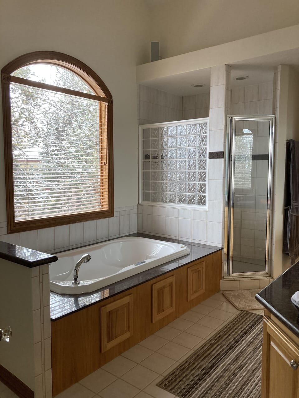 Master Bathroom w/ jetted tub and shower