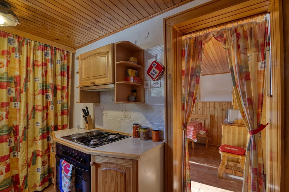 Family Villa, 2 Bedrooms, 2 Bathrooms, Mountainside (Bonidesa House With Whirlpool) | Private kitchen | Microwave, oven, stovetop, dishwasher